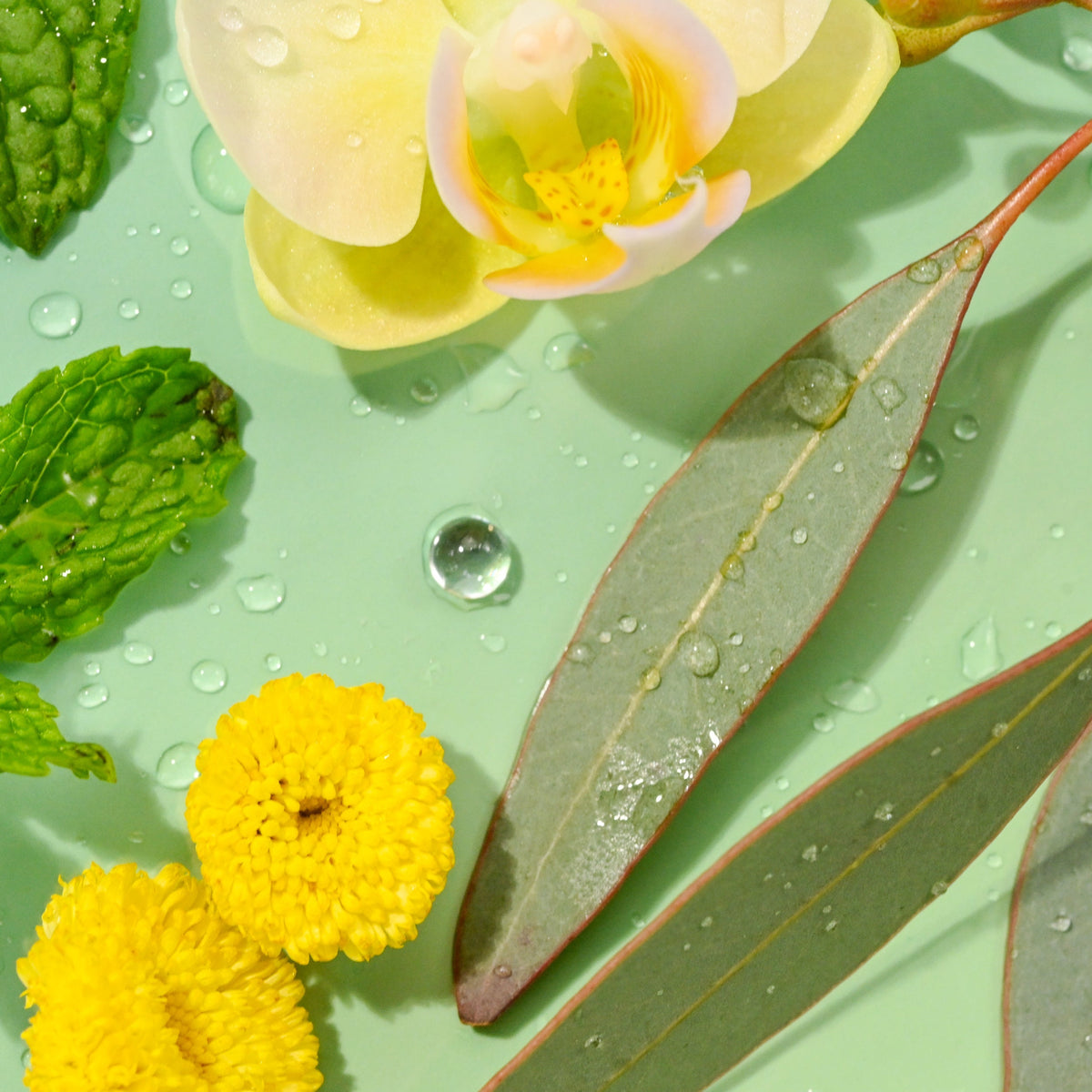Chill Vibes 4-Pack Lip Balm